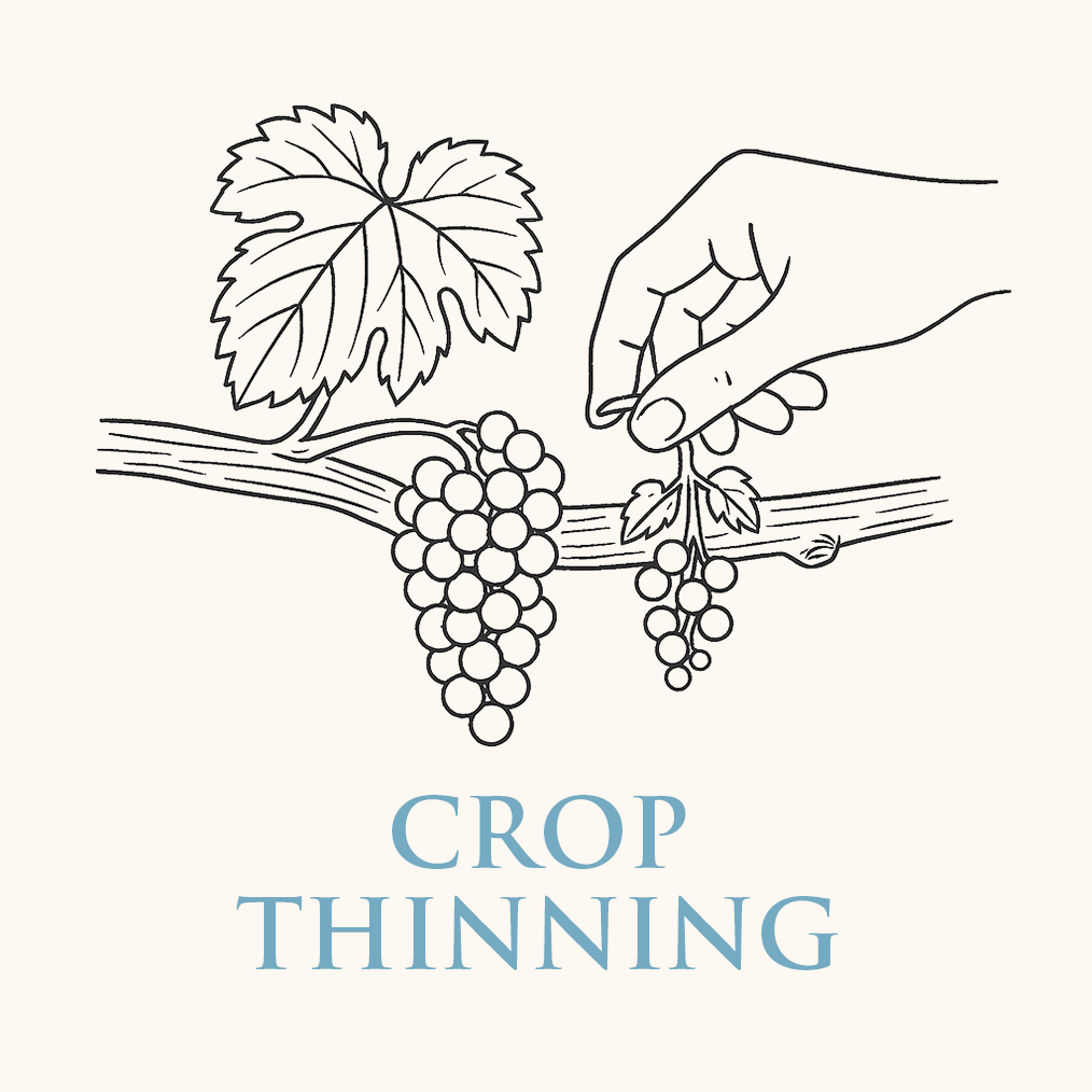 CropThinning