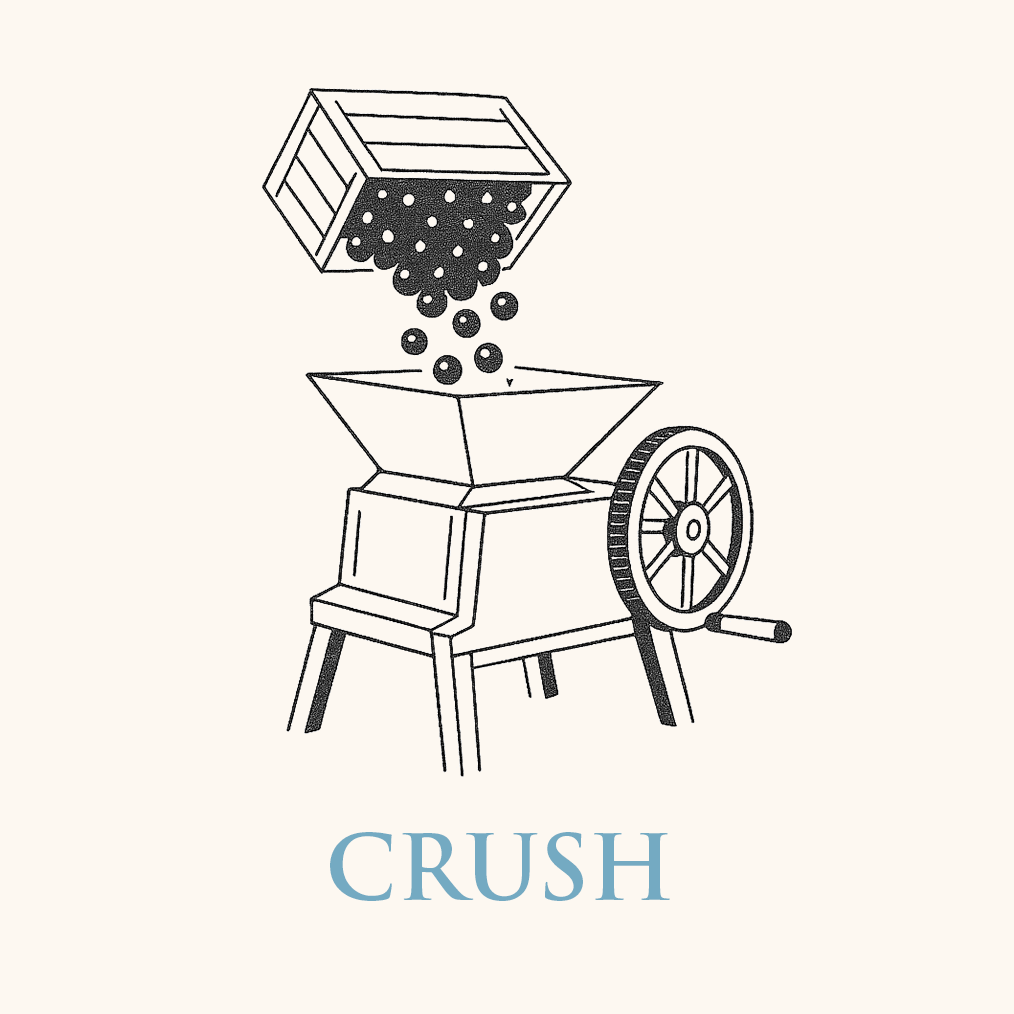 Crush