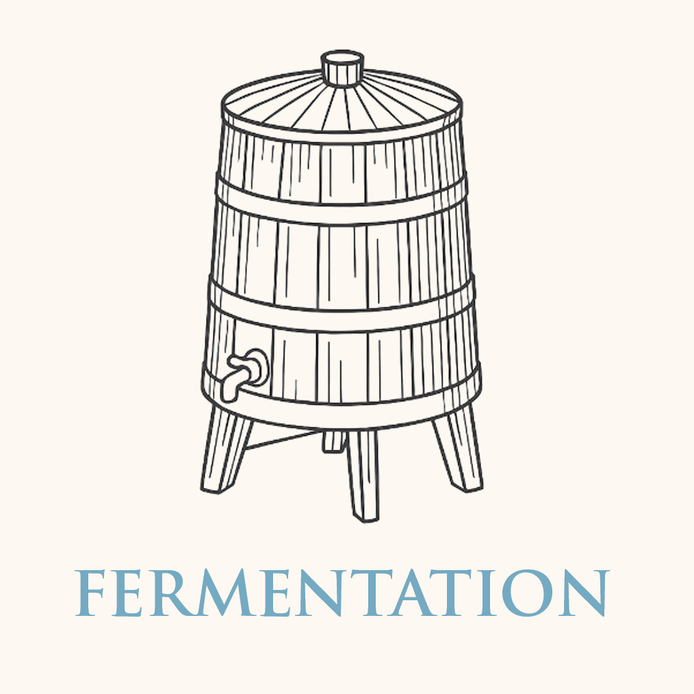 Fermentation