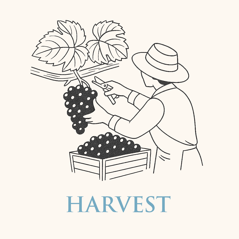 Harvest